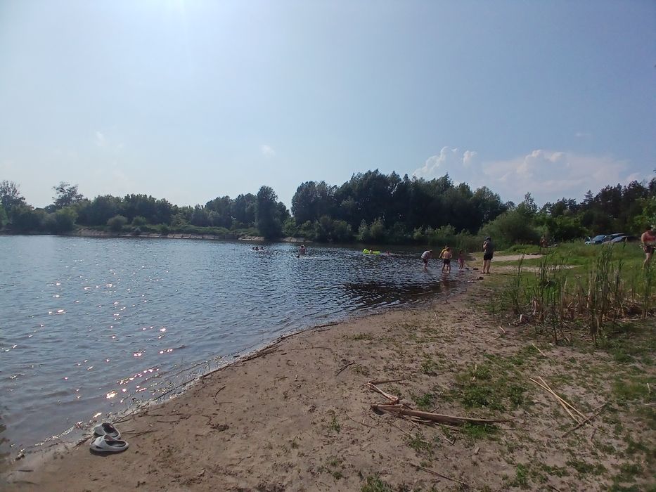 125 соток з соснами, власна водойма, прямий вихід до лісу Мотижин