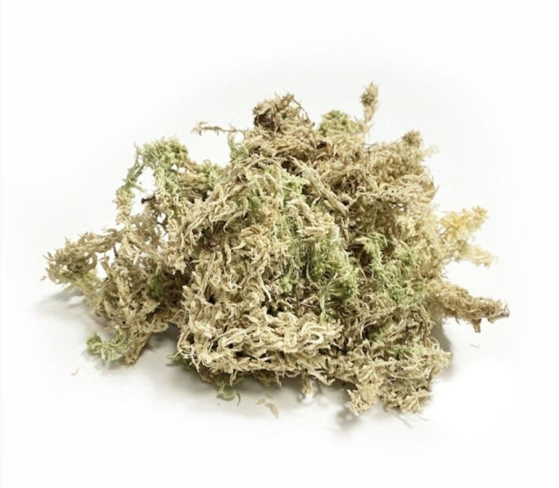 Мох сфагнум оптом 60л. Знижка та найкраща ціна