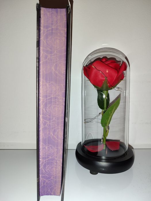 Продаю книгу дарк роман "Готикана" 300 грн