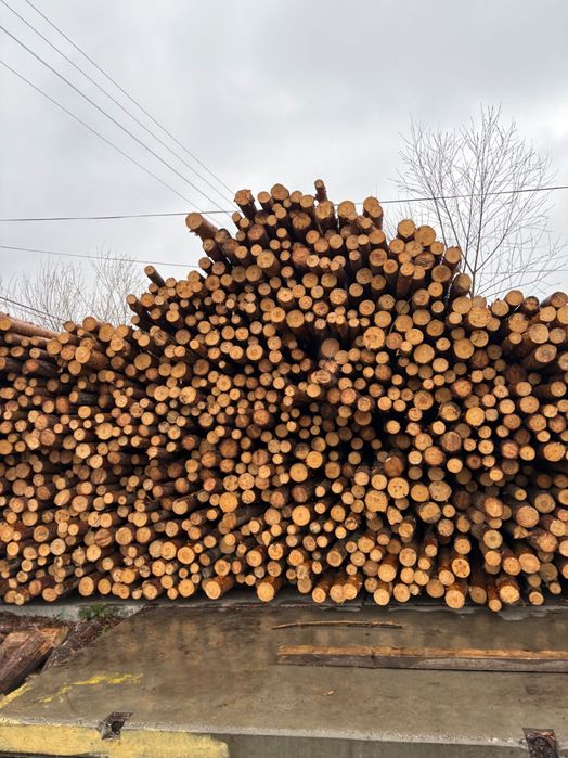 Stemple budowlane sosnowe 3 m  9 zł