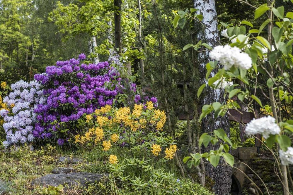 Dom w górach wyłączność Święta Sudety Góry Sowie  widok noclegi