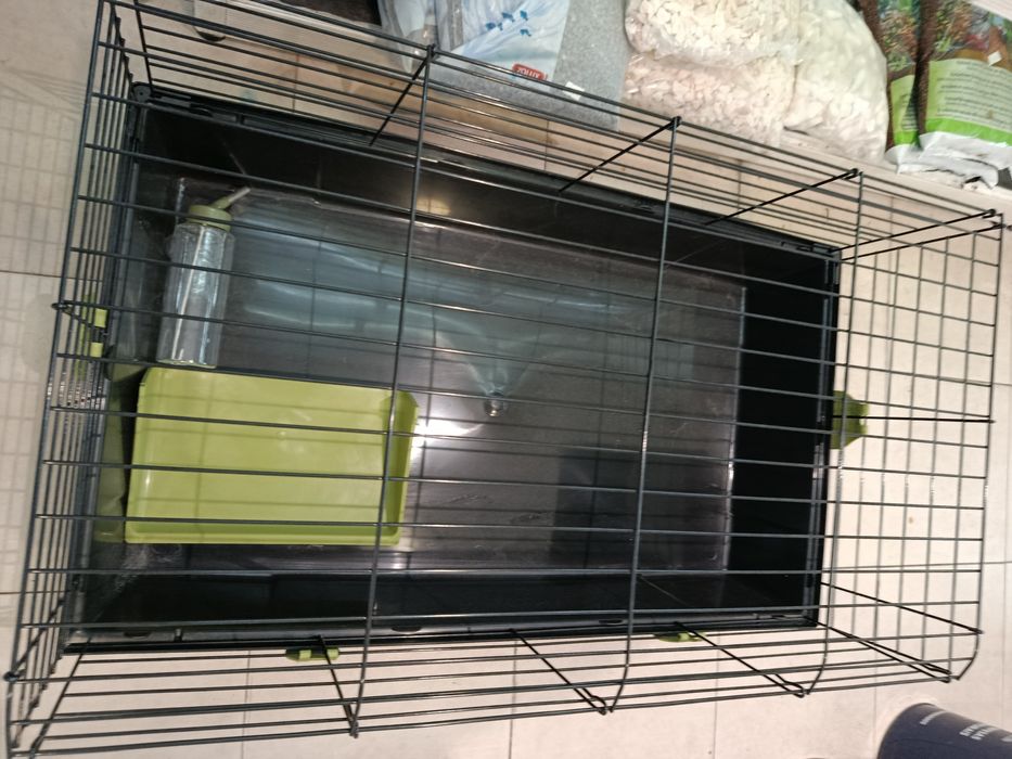 NOVA Gaiola de 80cm + porquinho bebé