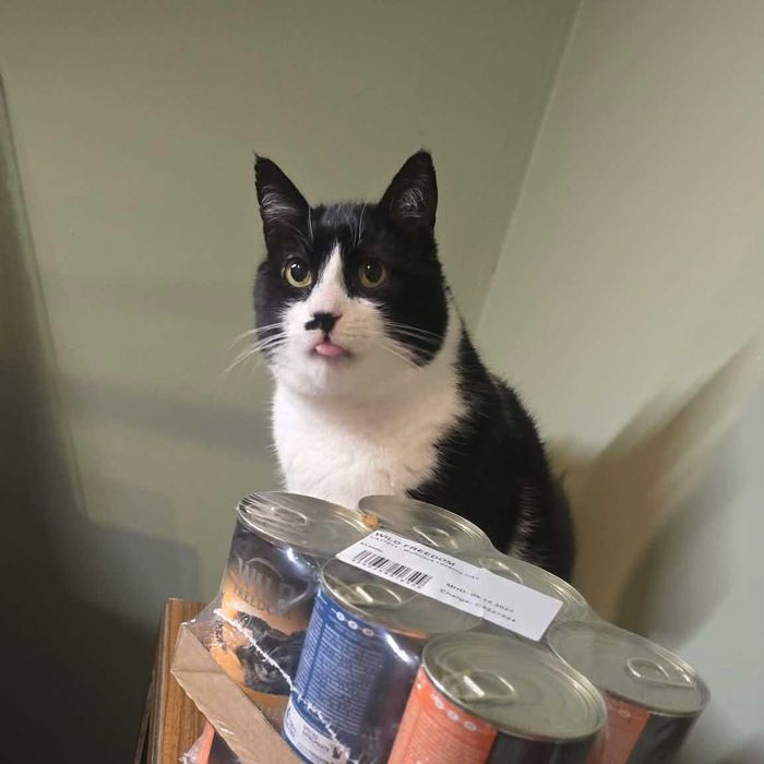 Miluś z Grecji marzy o swoim domu