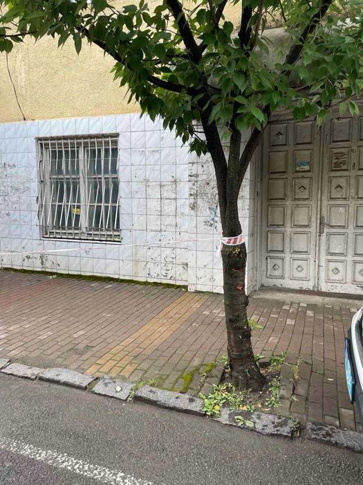 Фасад, 1 пов, нежилі приміщення 93.5 м2, Іршава, вул. Шевченка, 17/1