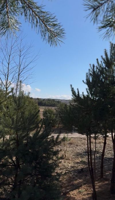 DZIAŁKA REKREACYJNA 591 M² | 600 m od plaży | Chańcza