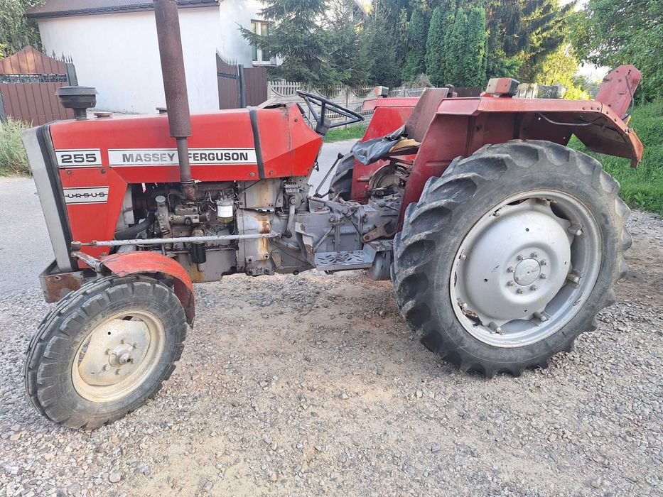 Ciagnik MF Massy Ferguson 255