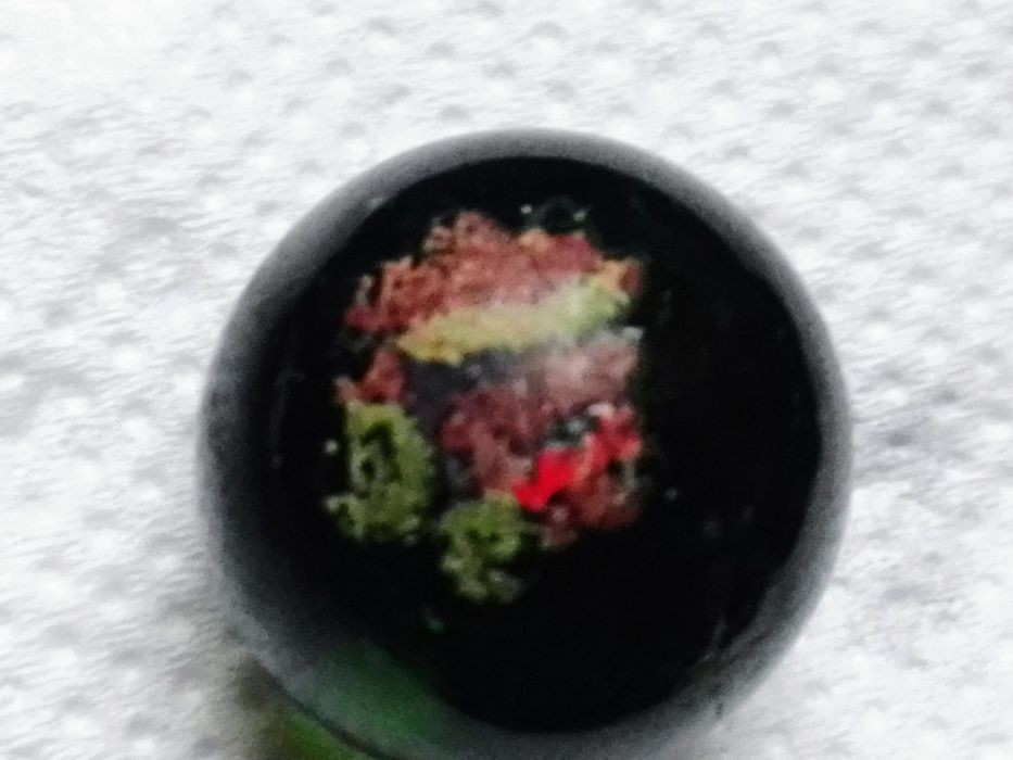 2 berlindes Pokémon.