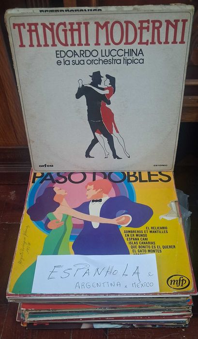 Vários discos de vinil 33 rpm de vários estilos