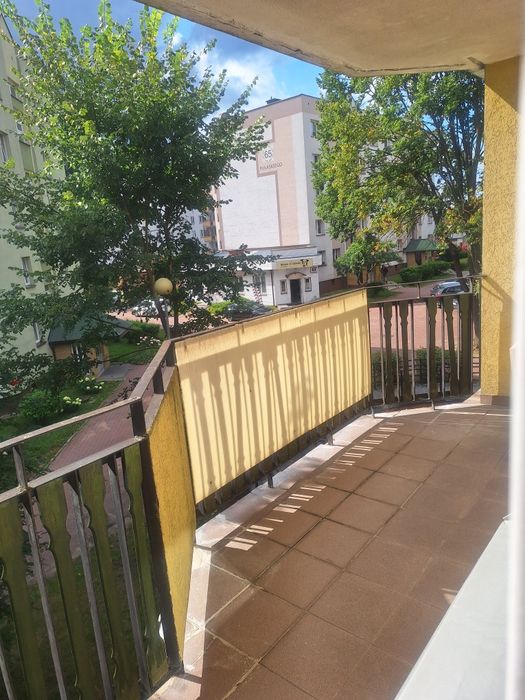 Zdjęcie 2