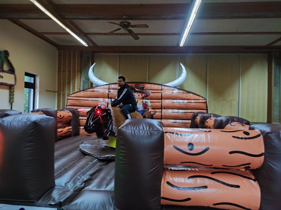 Aluguer Touro Mecânico