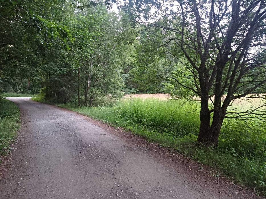Działka budowlana 3300 m² przy zalewie Szum – Roztocze, lasy, cisza i natura Sigła na ryby – pohled 3