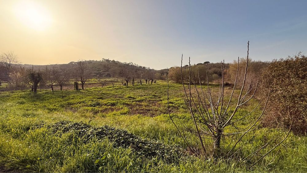Terreno rustico em Brunhós Soure