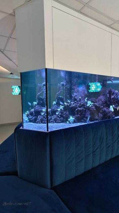 здається довгостроково квартира біля моря