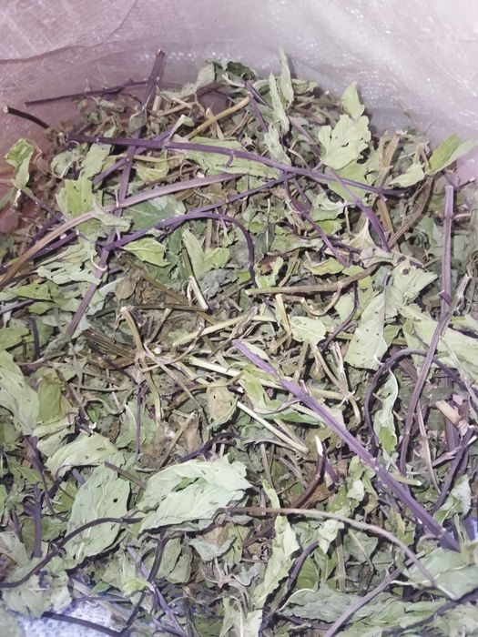 Ментолова м'ята перцева сушена ментол мохіто