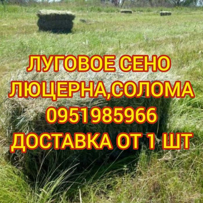СІНО ДОСТАВКА ОТ 1 ШТ в тюках мешках (кукурузне и др), сено. В наличии