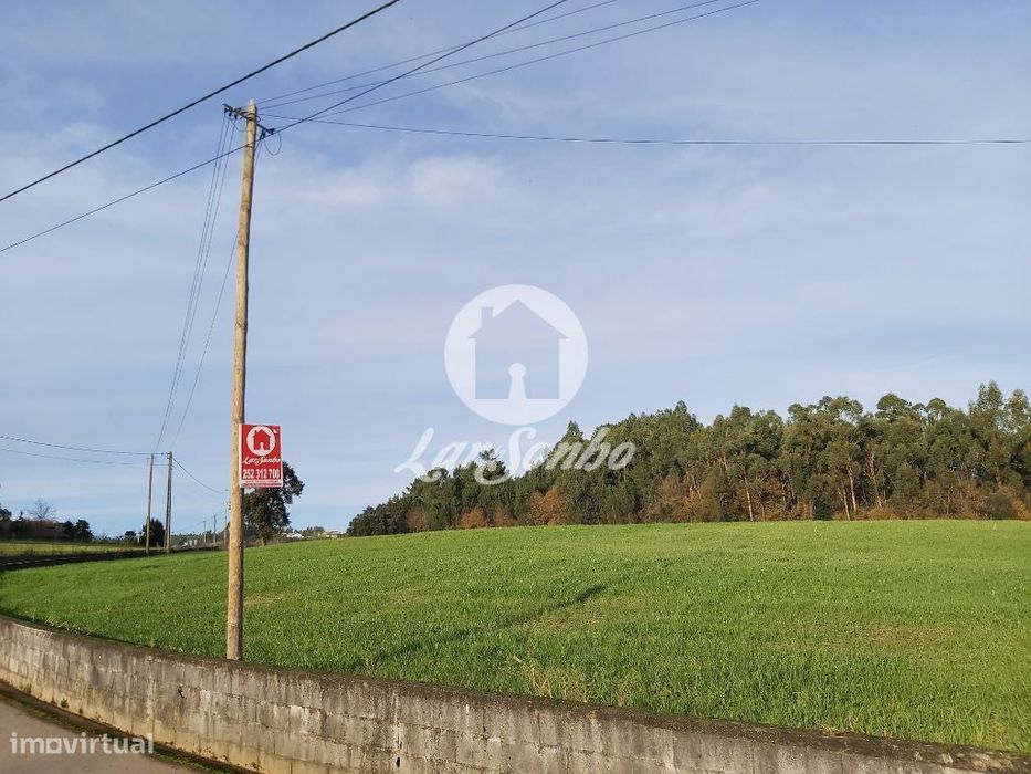 Rustic land plot of 18,000 m² in Vilarinho das Cambas