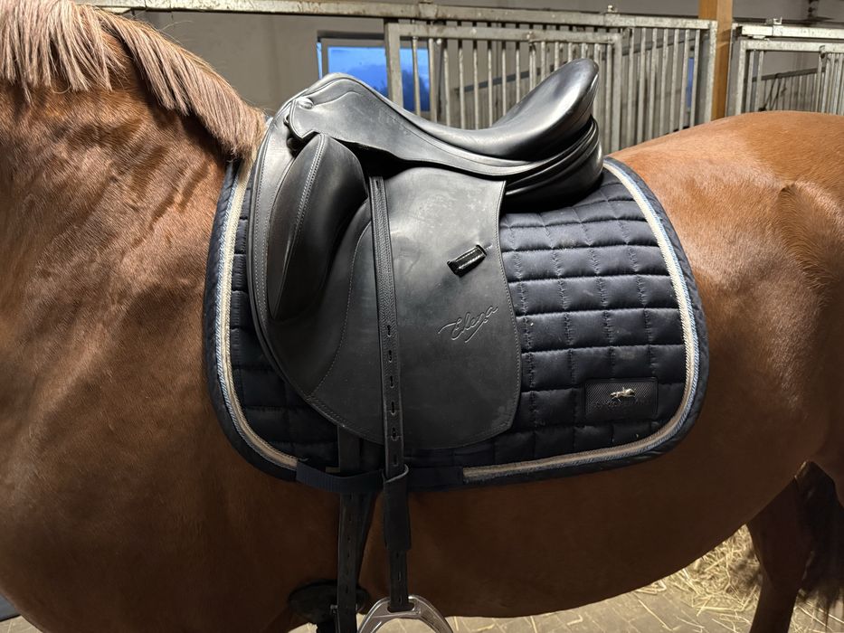 Siodlo ujezdzeniowe Erreplus Elena 17