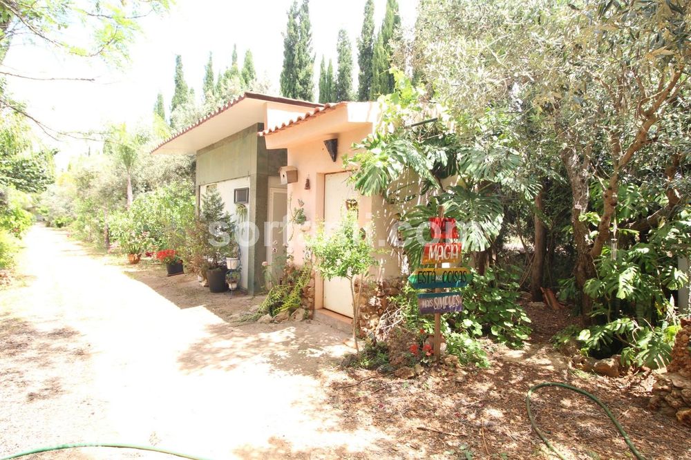 Rustic Land for Sale in Silves, Silves