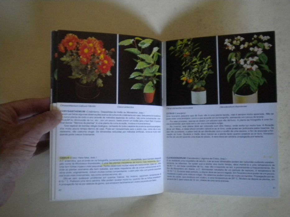 Plantas de Interior
de Rob Herwing