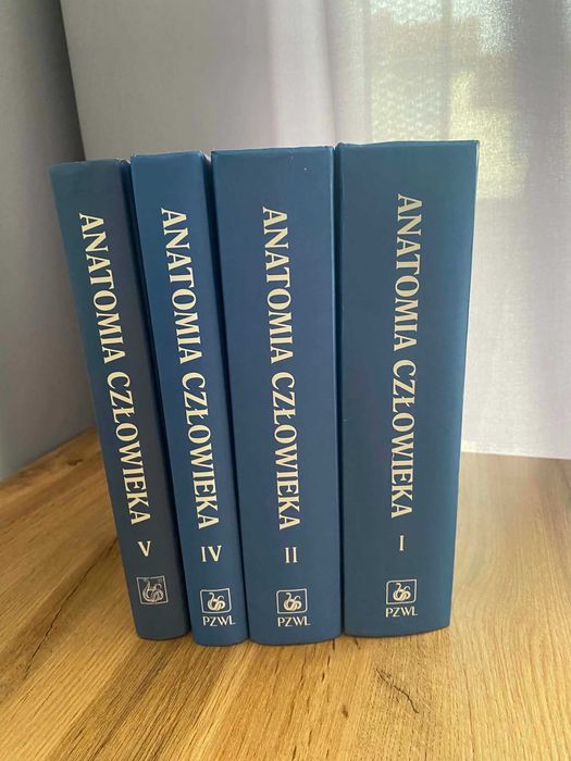 Anatomia człowieka Bochenek