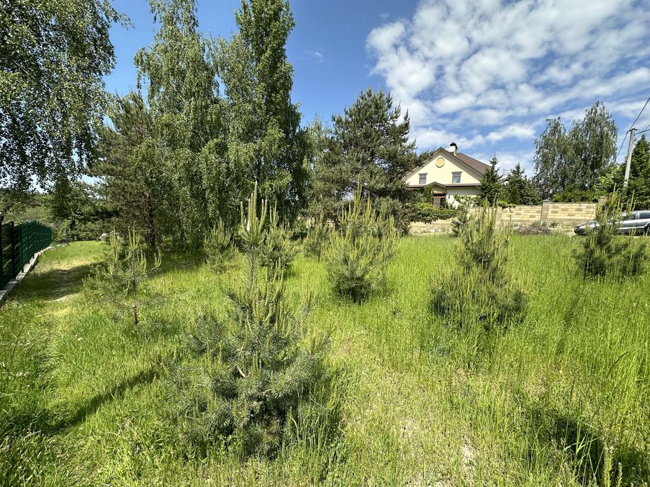 Віта-Поштова ділянка 2.1 Га, біля заповідника, ліс, сосни, комунікаціі