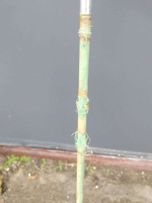 stara wędka nr 6