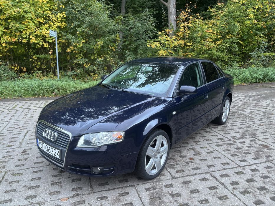 Audi a4b7 1.9 TDI 115 km