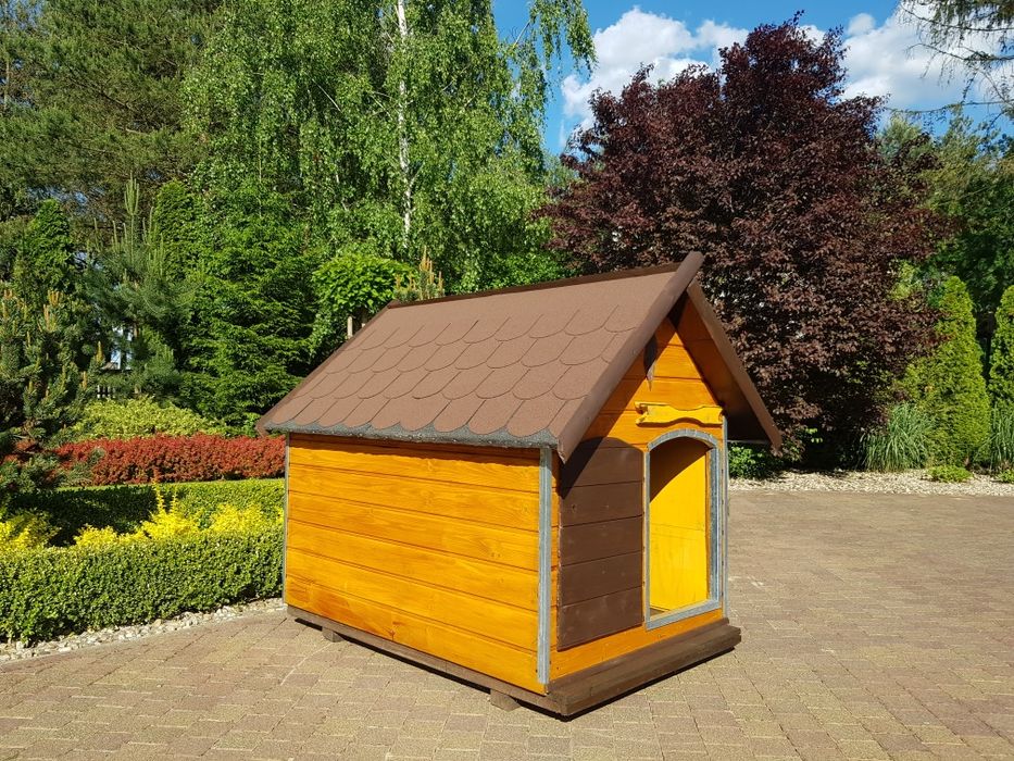 Buda dla dużego psa