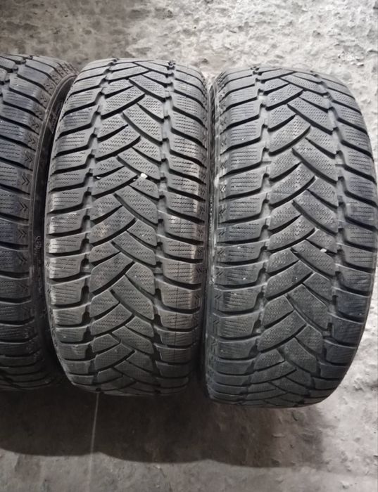 Зимові шини DUNLOP 225/50 17