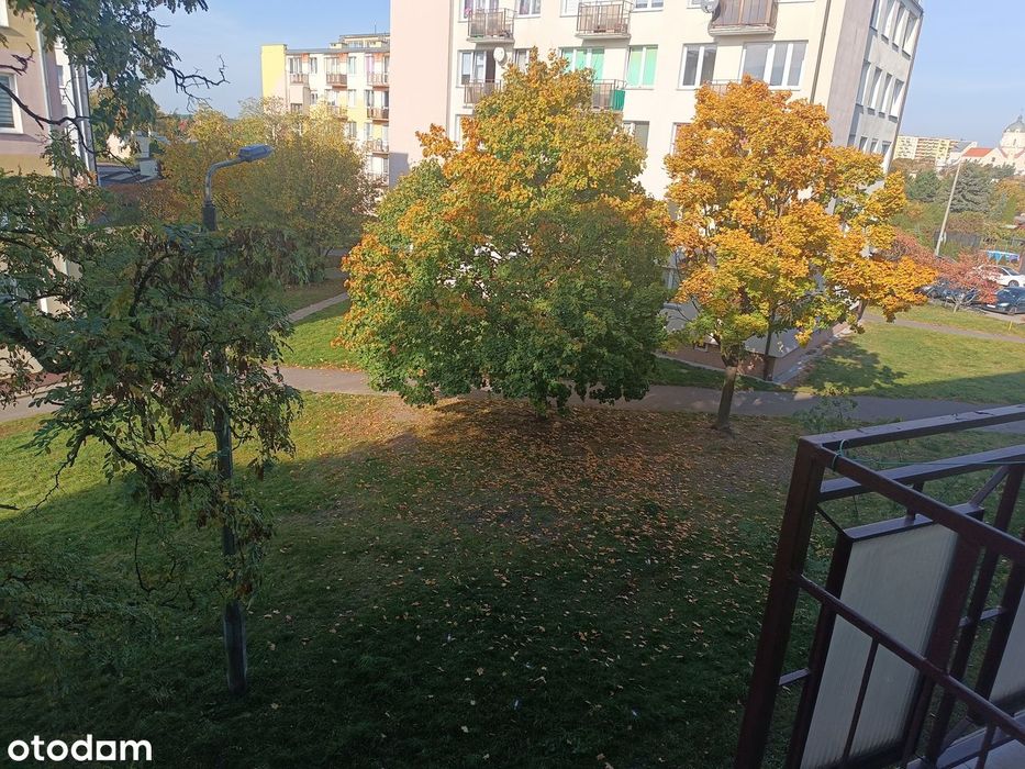 Południe - 2 piętro w bloku czteropiętrowym.