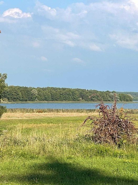 Działki z zabudową jednorodzinną blisko jeziora.