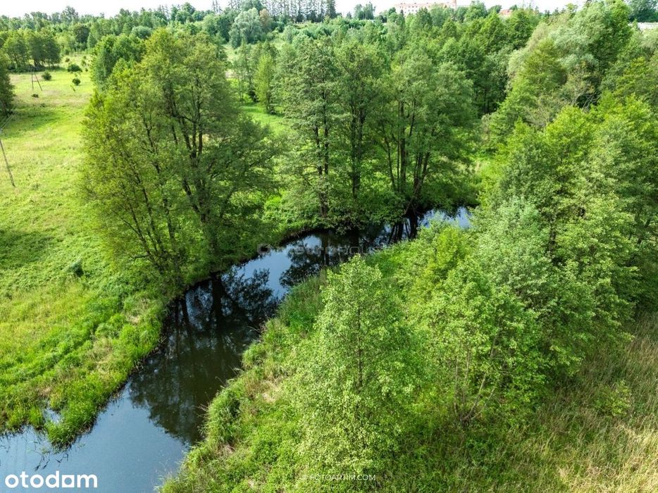 Działka z linią brzegową rzeki Pisy