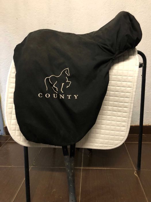 Sela County Perfection para ensino/dressage