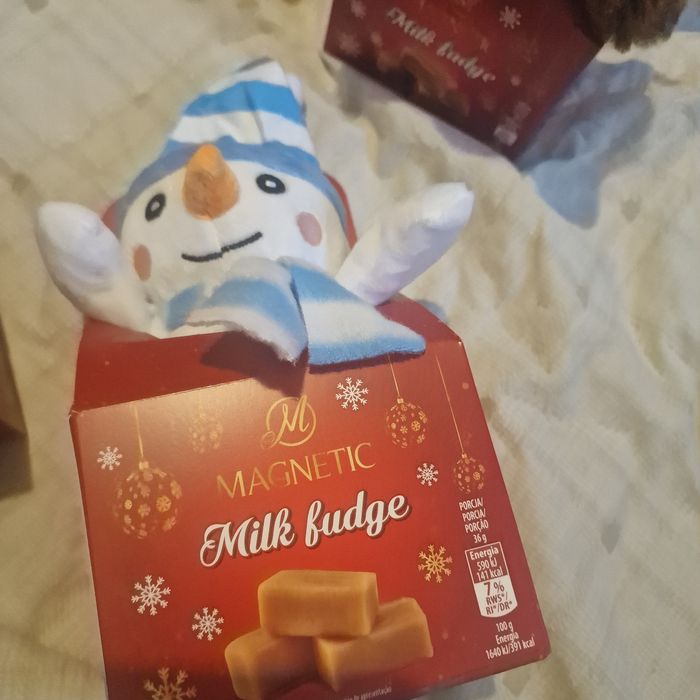Magnetic milk fudge Christmas