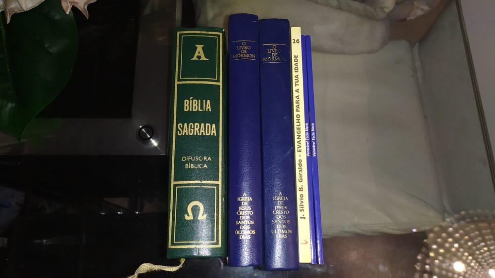 Livros religiosos : bíblia sagrada de 1988 , 2 livro de mórmon etc..