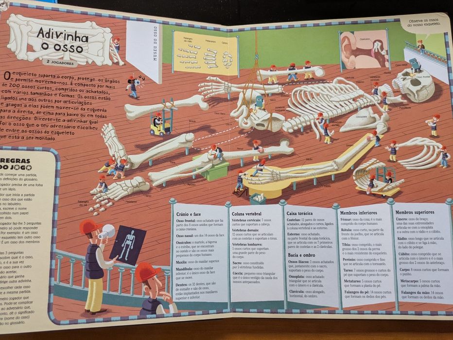 Corpo Humano 8 jogos de tabuleiro para saber tudo