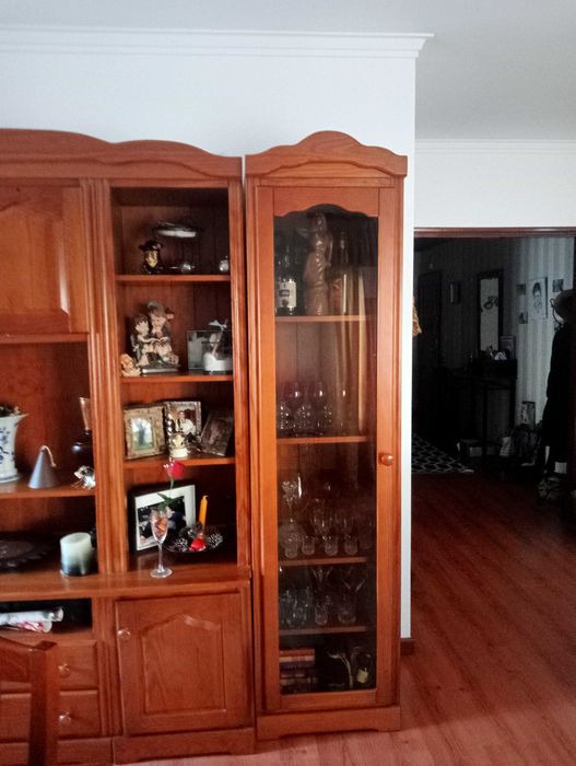 Móvel de Sala em Excelente Estado