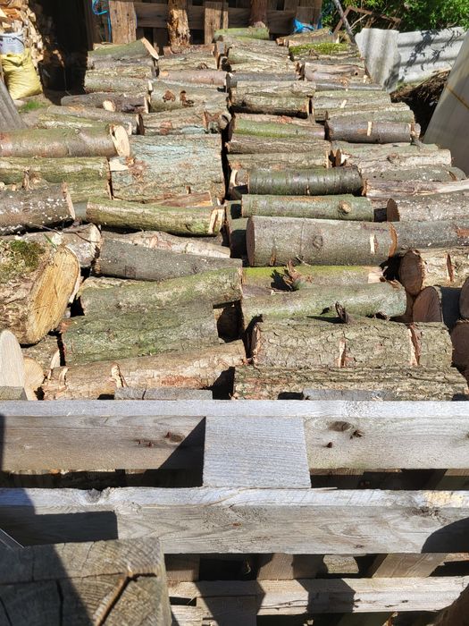 Drewno drzewo opałowe kominkowe