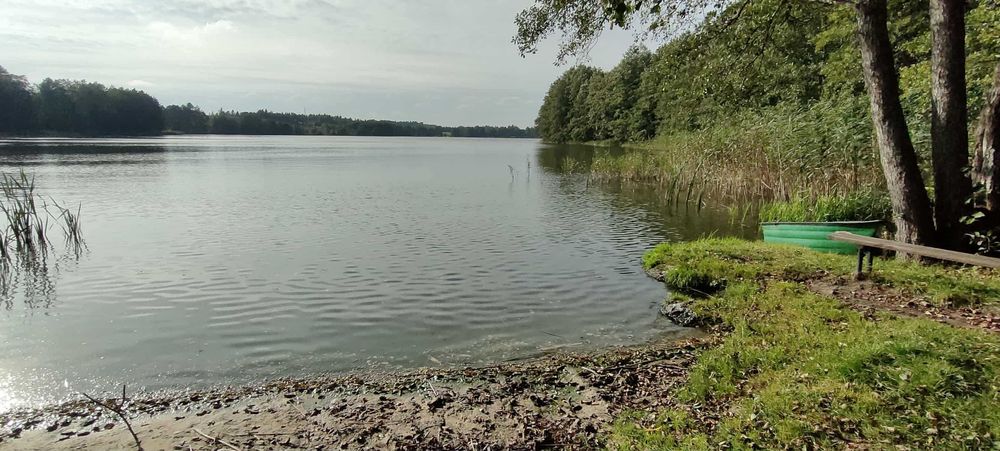 Sprzedam mieszkanie i działkę od strony jeziora Gryźliny.