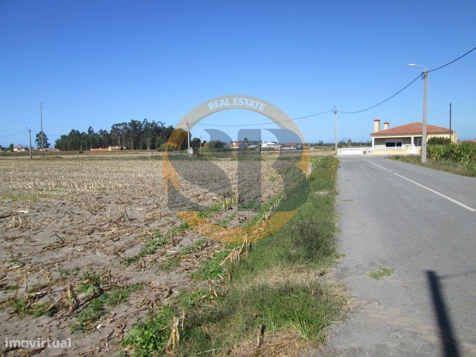 Terreno em Ovar