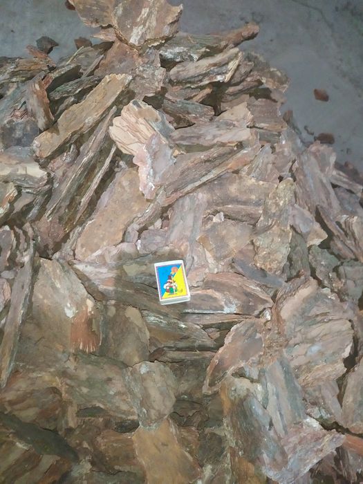 Кора соснова в Обухові