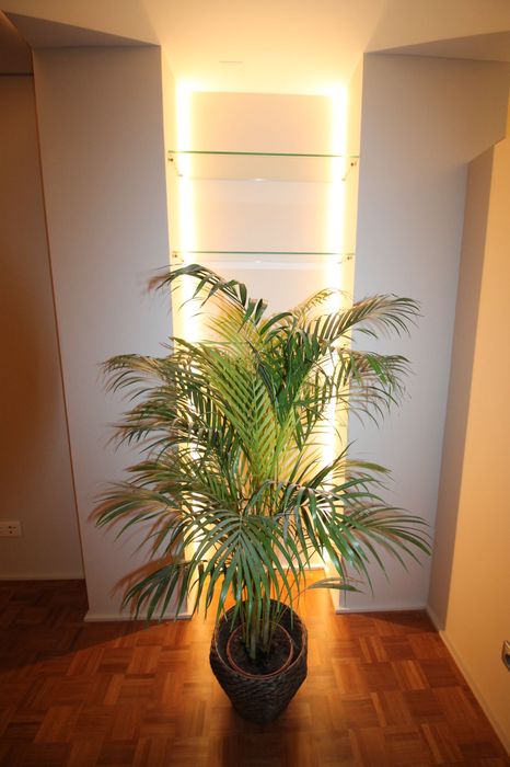 Arrenda-se T2 Av. Afonso III