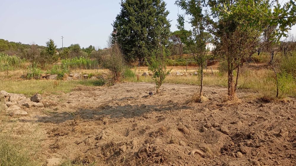 Serviços de mini giratória