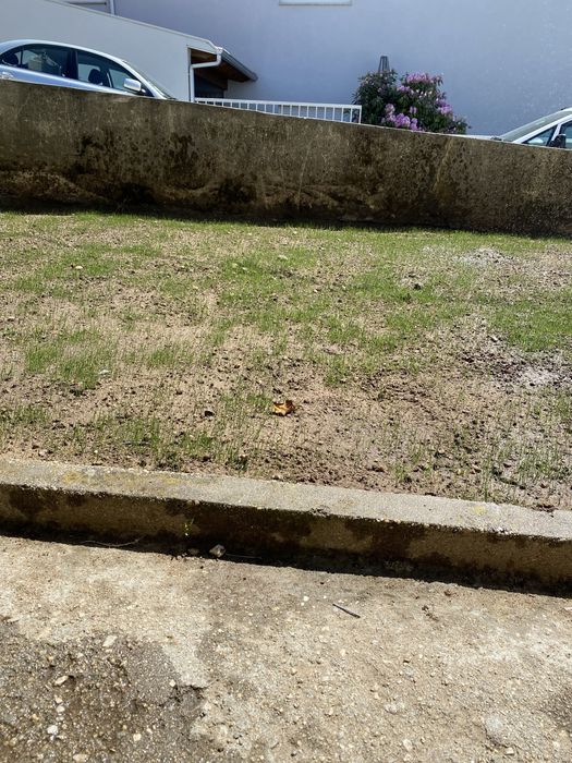 Servico de jardinagem