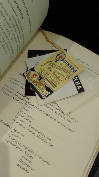 Exposição Agrícola - Porto 1956 Palácio de Cristal.