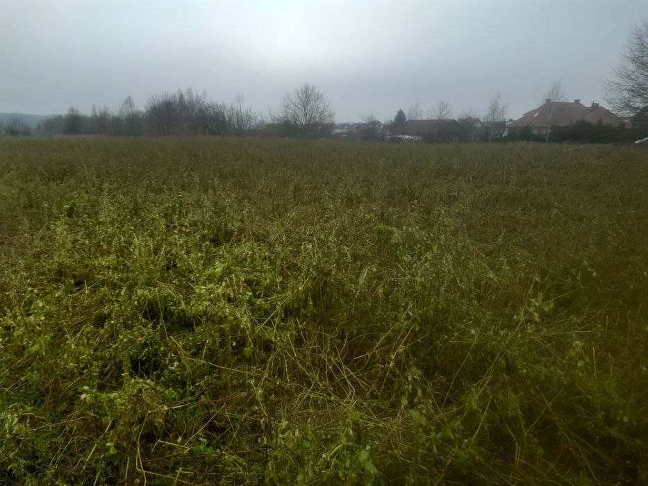 6 działek budowlanych Uzdowo