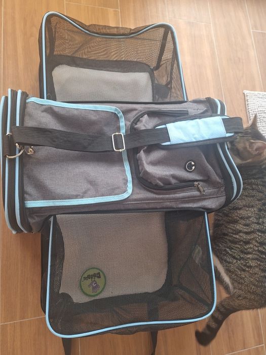 Transportadora de gato cinza com azul