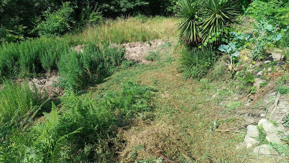 Casa de habitação para restaurar