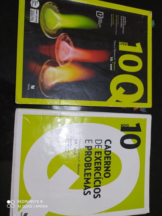 Manuais a cadernos atividades 10 ano