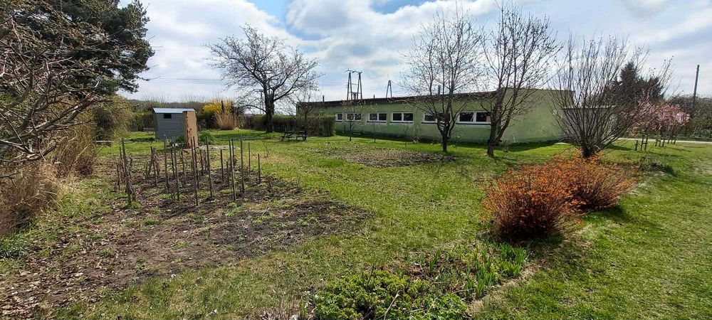 Działka ROD 300 m² Wrocław Krzyki – ROD Maciejka, drzewa owocowe, parking